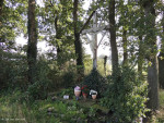 Landkruis
